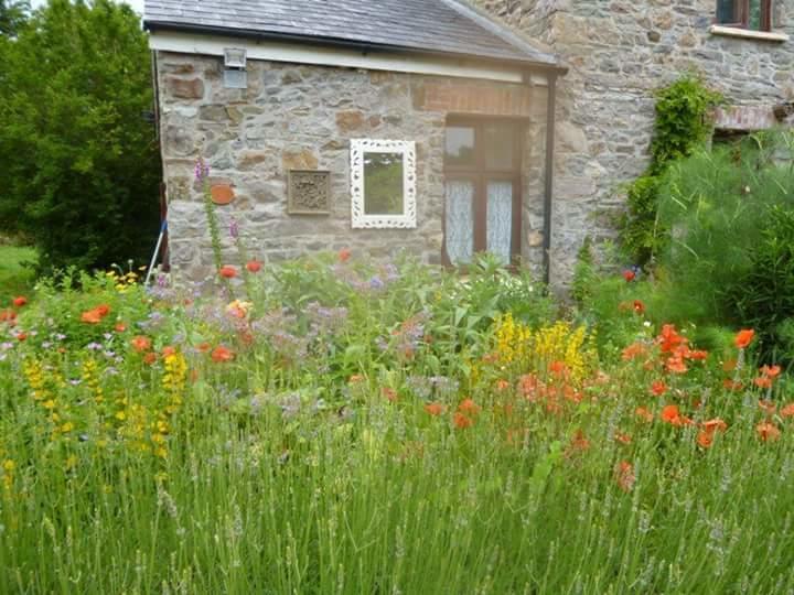 Middle Mill Bed and Breakfast Kidwelly Exteriör bild